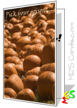 pumpkin patch photo, card template