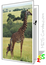 printable card, giraffe baby and mother