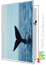 whale tail card to print