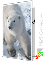 polar bear card to print