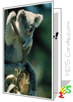 printable koala birthday card