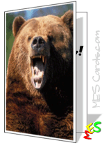 grizzly bear card