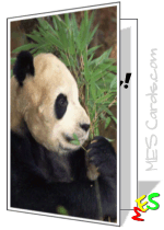 panda greeting card to print
