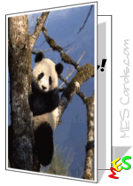 printable panda birthday card