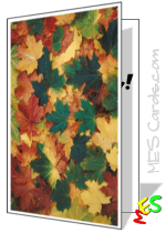 maple leave background, pattern