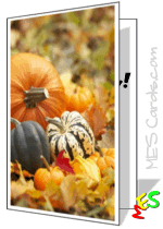 classic fall harvest pumpkin