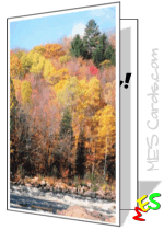river, forest, fall foliage
