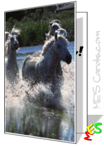 horse card, river, running