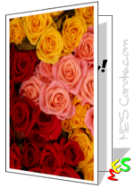 roses printable card