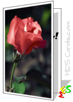 printable card roses