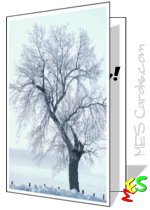 snow-covered tree, seascape photography, card to print