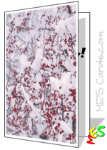 snow and holly patterned background