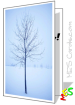 solo tree, snow, endurance photo, card