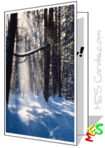 sun rays through trees, snow, forest, card