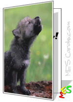 cute baby animal, wolf pup card