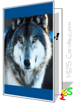 card to print, close-up wolf photo