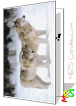 wolf pack greeting card