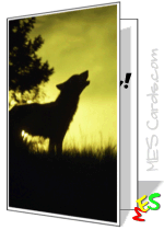 printable birthday card, wolf silhouette